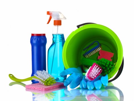 Professional carpet cleaning in a St Johns home