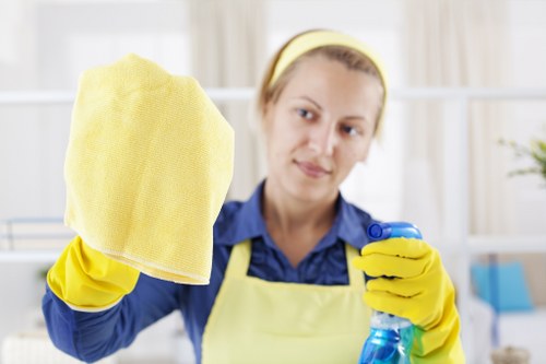 Professional stain removal in St Johns for carpets and rugs