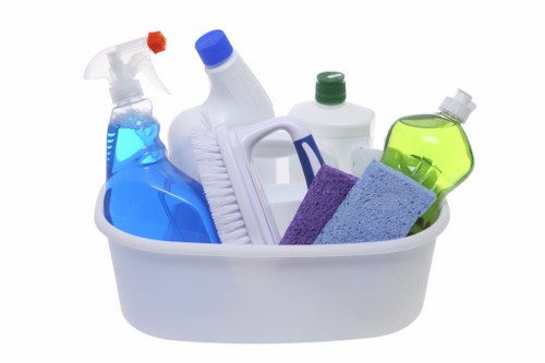 Removing stains and odors through sofa cleaning in St Johns