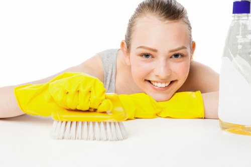 Deep cleaning upholstery fabrics and cushions in St Johns