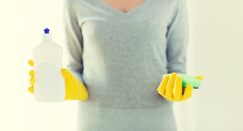 Professional cleaning equipment used for pet stain odour removal