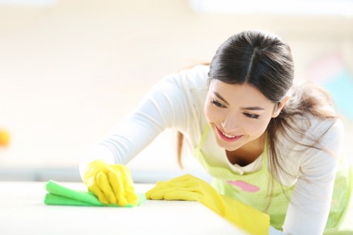 Detailed inspection for rug cleaning in St Johns