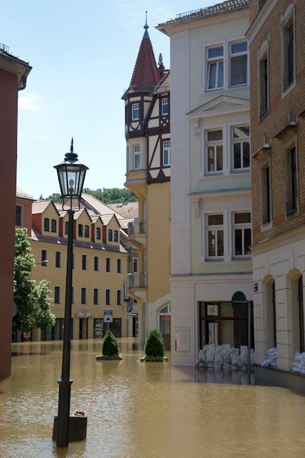 Photograph of a street flood with brown water covering the pavement and surrounding grounds, partially submerging the bases of a black street lamp and nearby trees. To the right, a white and beige mul